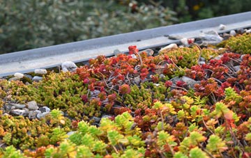 the cost of Lower Bassingthorpe green roof installation