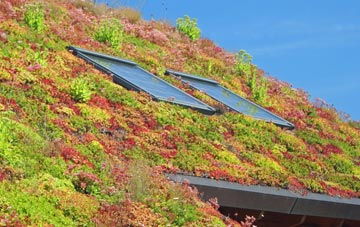 Lower Bassingthorpe living roof systems