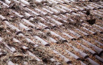 Lower Bassingthorpe roof cleaning companies