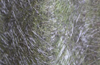 Lower Bassingthorpe fibreglass roof work